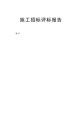 招标评标报告范本