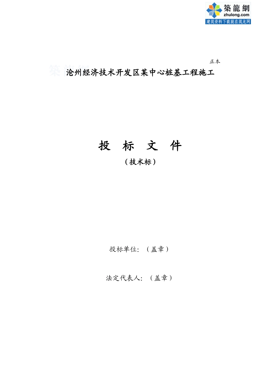 沧州某工程桩基(正循环潜水钻机自然造浆法)投标书技术标_第1页