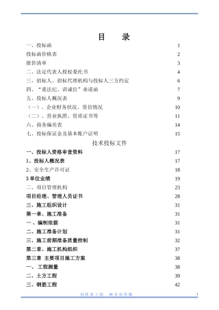 工程类投标文件范本