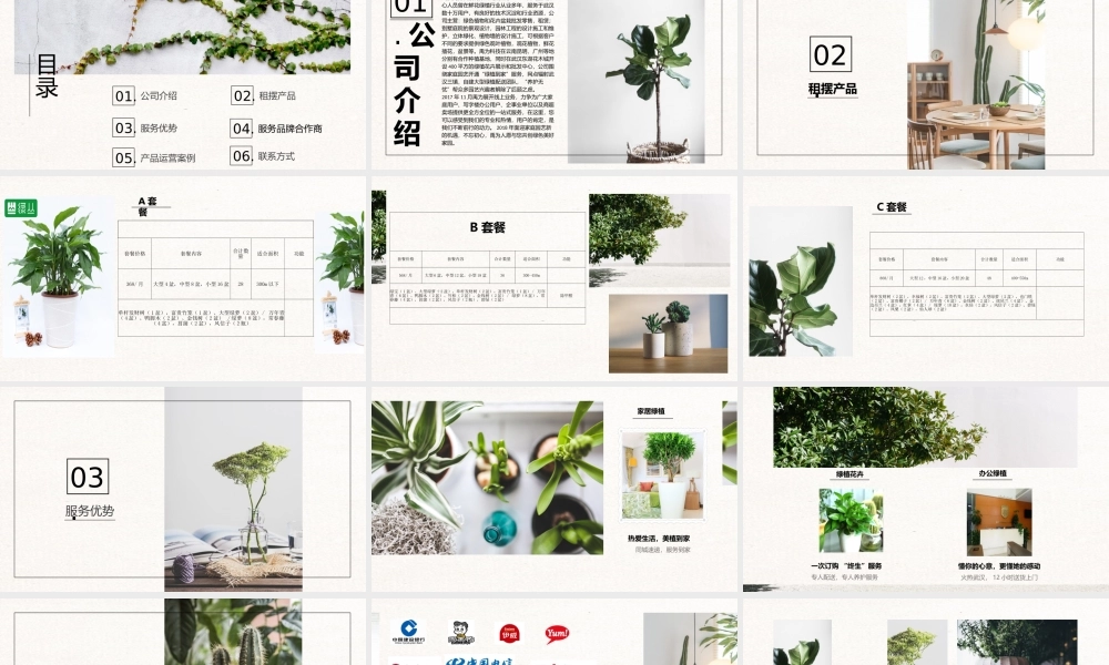 武汉绿植植物办公家庭租摆设计