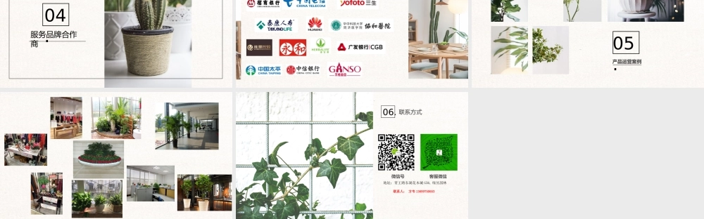 武汉绿植植物办公家庭租摆设计