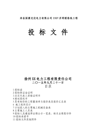 2015-华美光伏发电项目投标文件