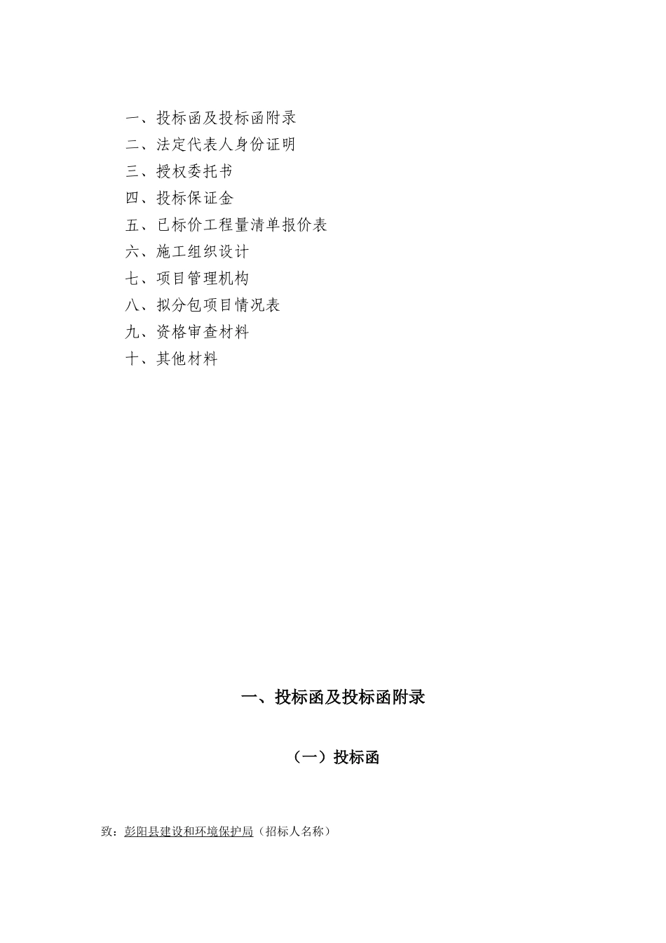 2011年环保市政公司投标文件_第2页