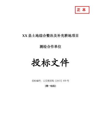 测浍服务土地整治投标文件