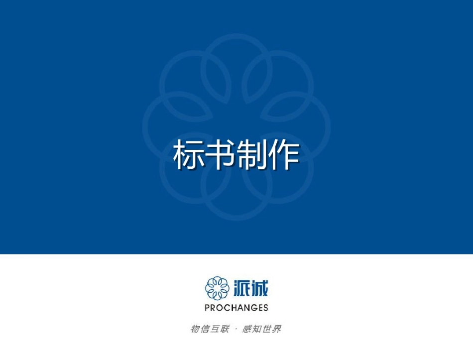 标书制作流程图与教材_第2页