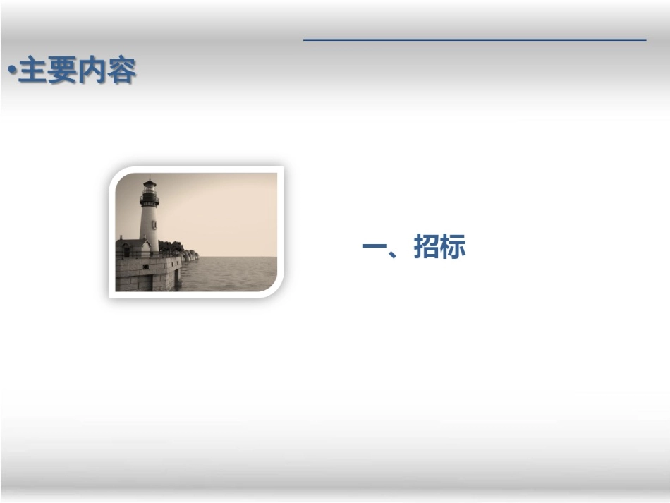 投标流程及注意事项_第3页
