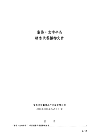 房产项目销售代理招标文件