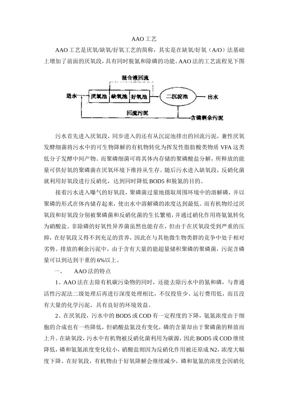 AAO工艺特点和运行注意事项_第1页