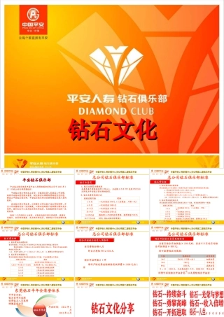 平安人寿钻石年会执行策划方案