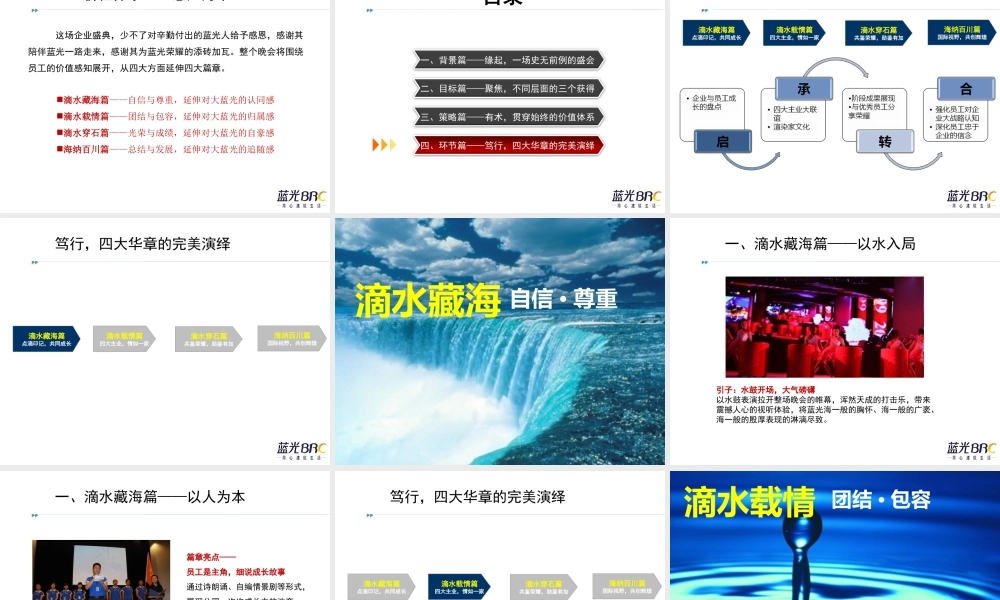 蓝光BRC公司年会策划方案