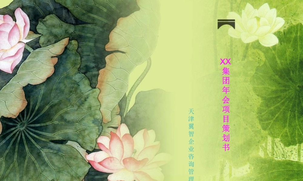 某集团年会方案
