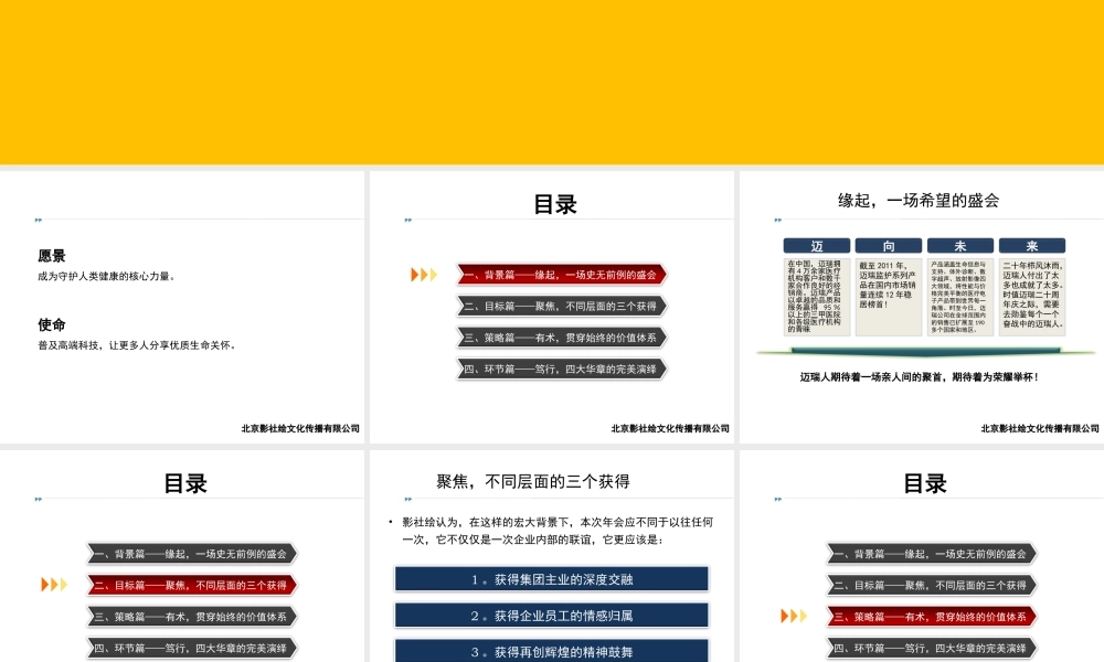 迈瑞集团迎春年会策划初稿