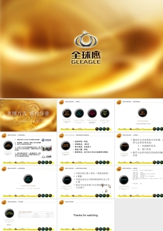 全球鹰公司内部年会策划案