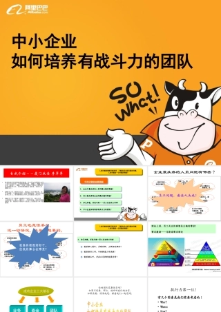 团队建设-阿里巴巴：中小企业如何培养有战斗力的团队