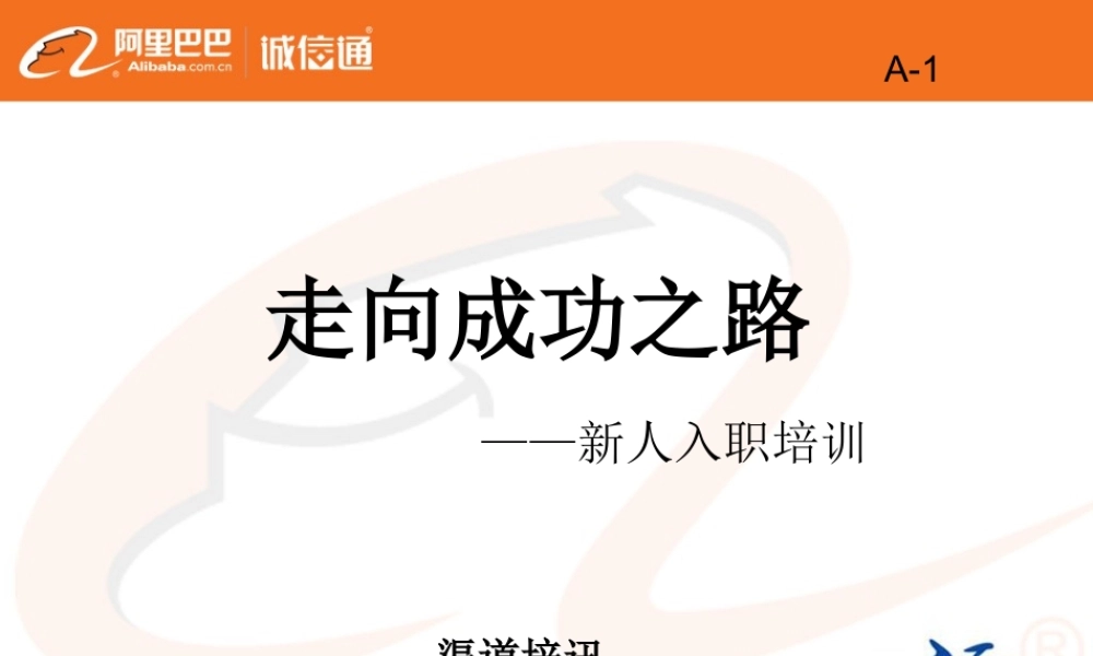 成功之路秘籍(阿里巴巴内训绝密)