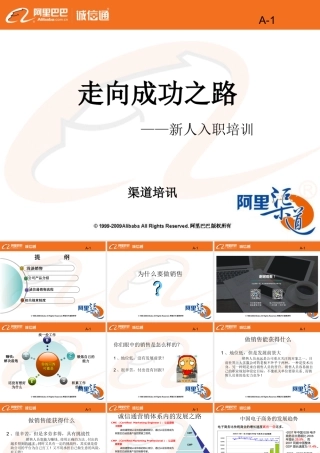 成功之路秘籍(阿里巴巴内训绝密)