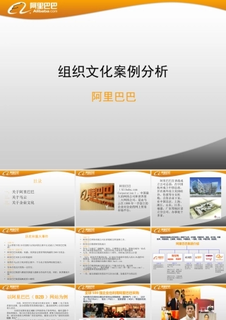 阿里巴巴组织文化案例分析