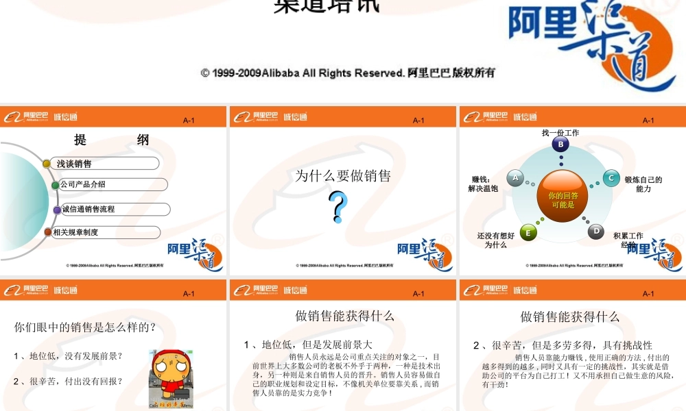 成功之路秘籍(阿里巴巴内训绝密)
