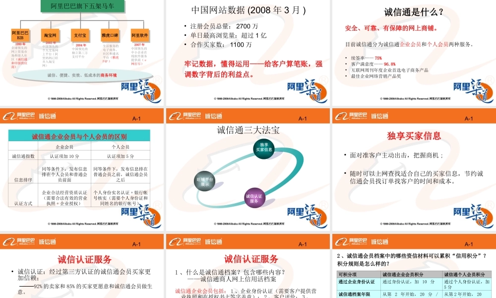 成功之路秘籍(阿里巴巴内训绝密)