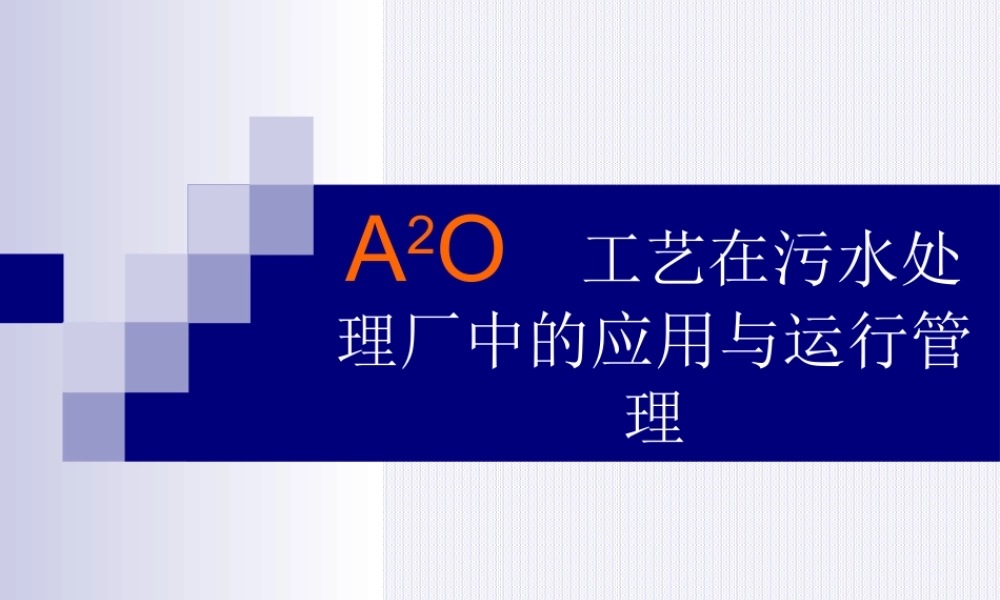 A2O工艺