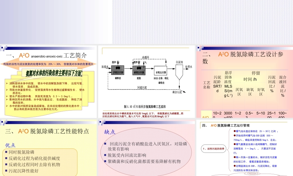 A2O工艺