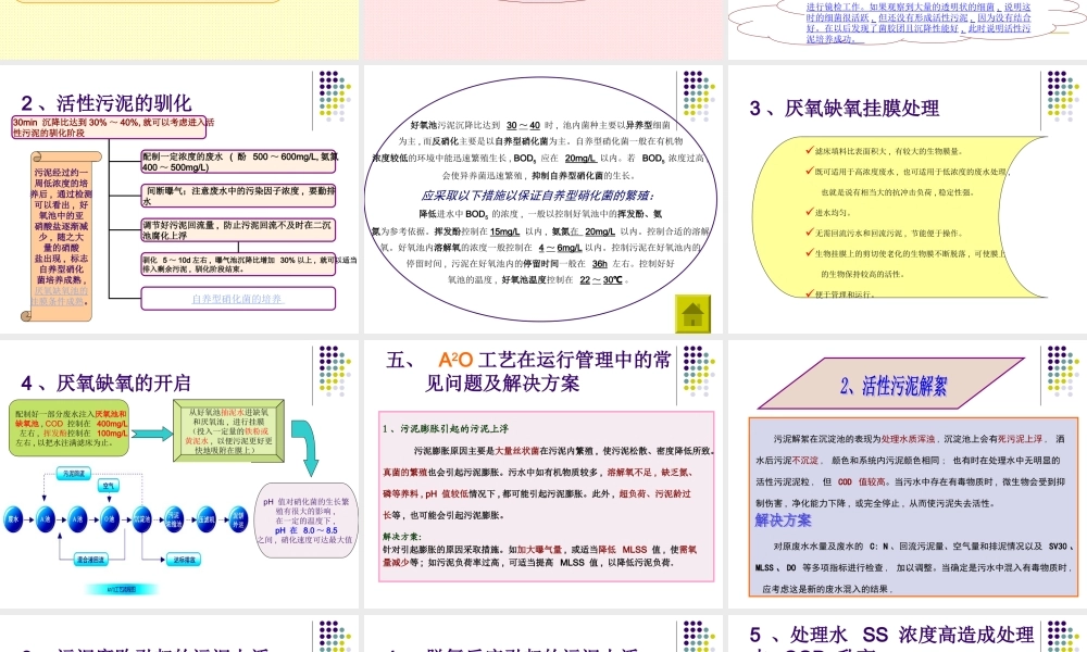 A2O工艺