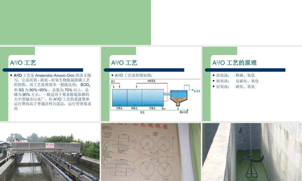 A2O工艺及其改进工艺
