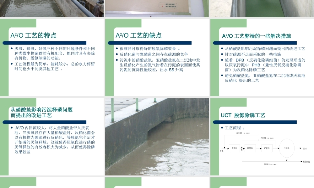 A2O工艺及其改进工艺