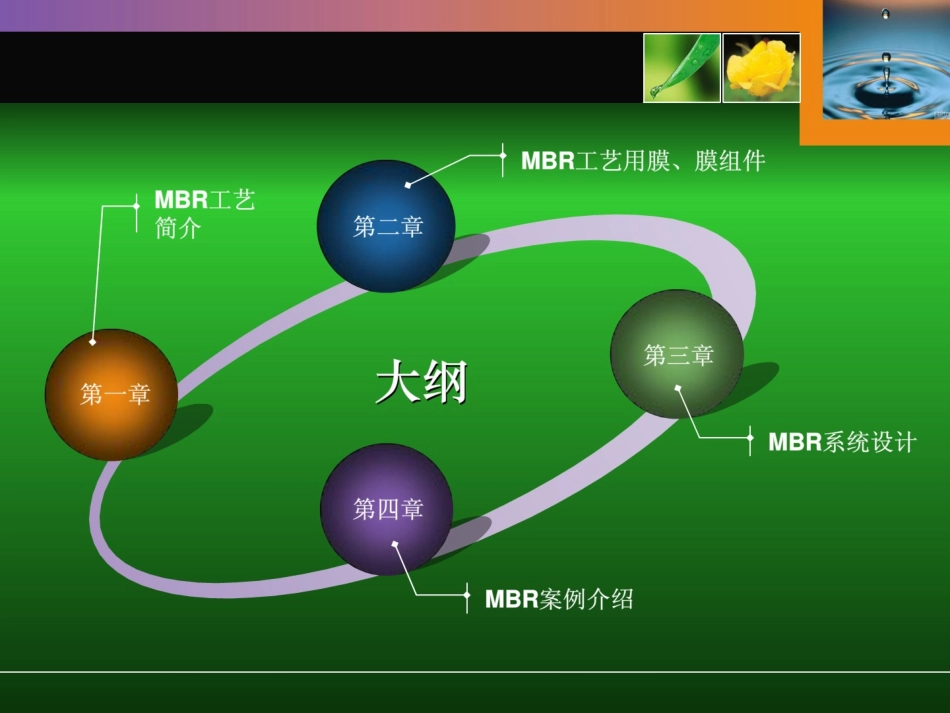 MBR工艺全面介绍(原理、流程、应用等)_第2页