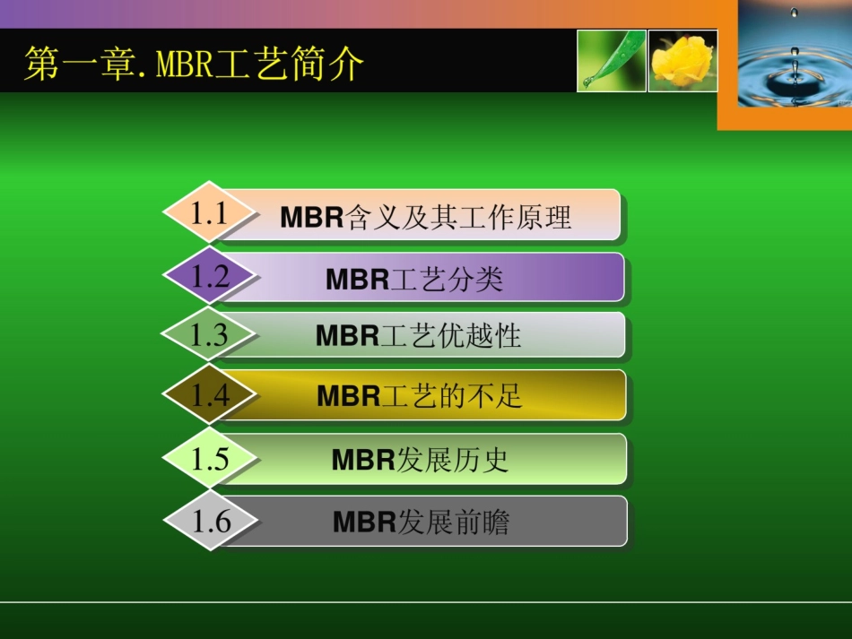 MBR工艺全面介绍(原理、流程、应用等)_第3页