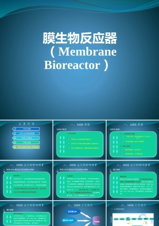 MBR和其它工艺的比较