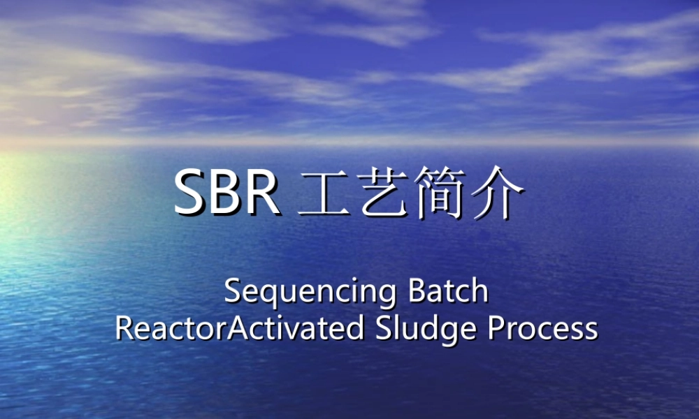 SBR工艺简介
