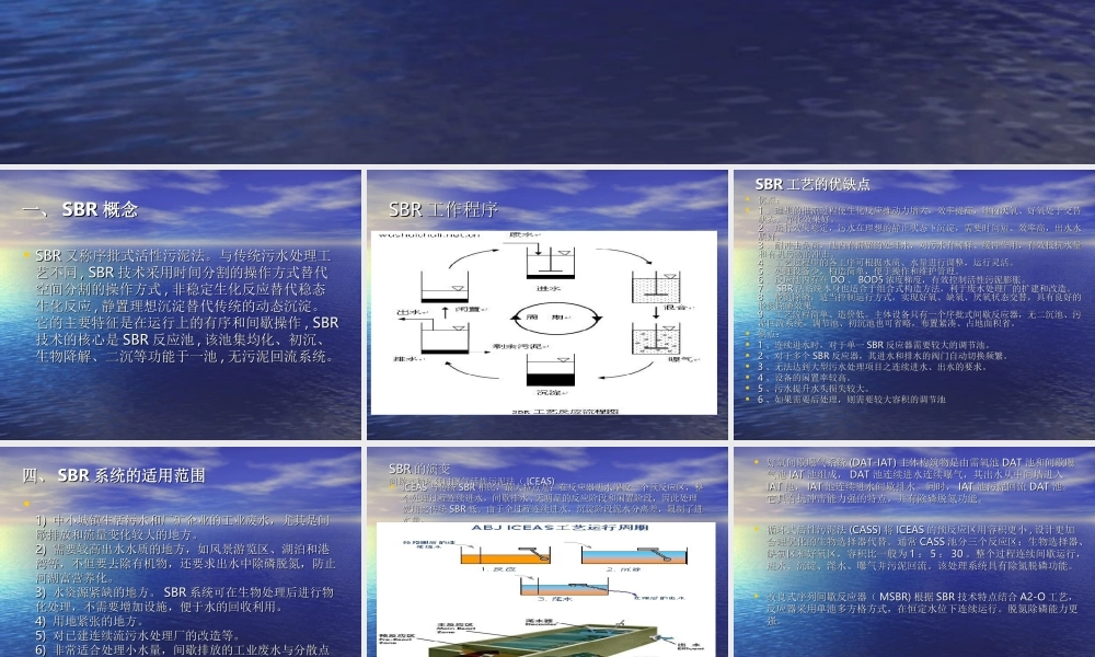 SBR工艺简介