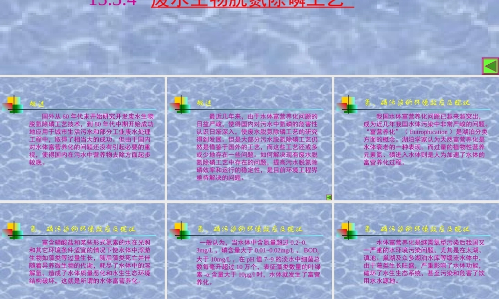 废水生物脱氮除磷技术