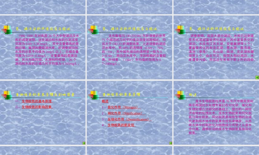 废水生物脱氮除磷技术
