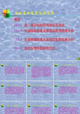 废水生物脱氮除磷技术