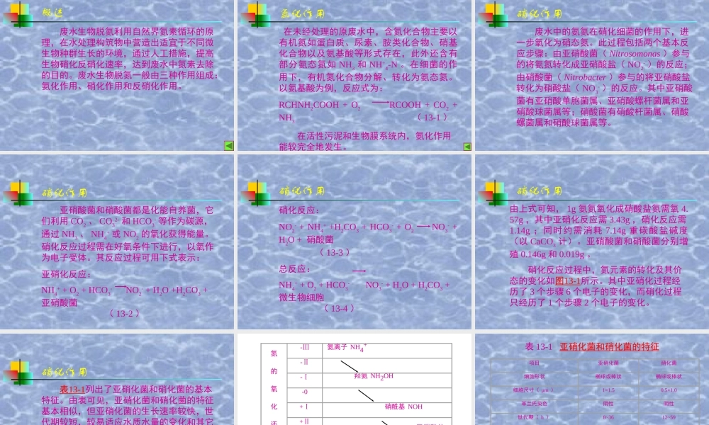 废水生物脱氮除磷技术