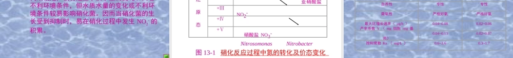 废水生物脱氮除磷技术