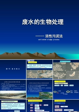 活性污泥法处理废水