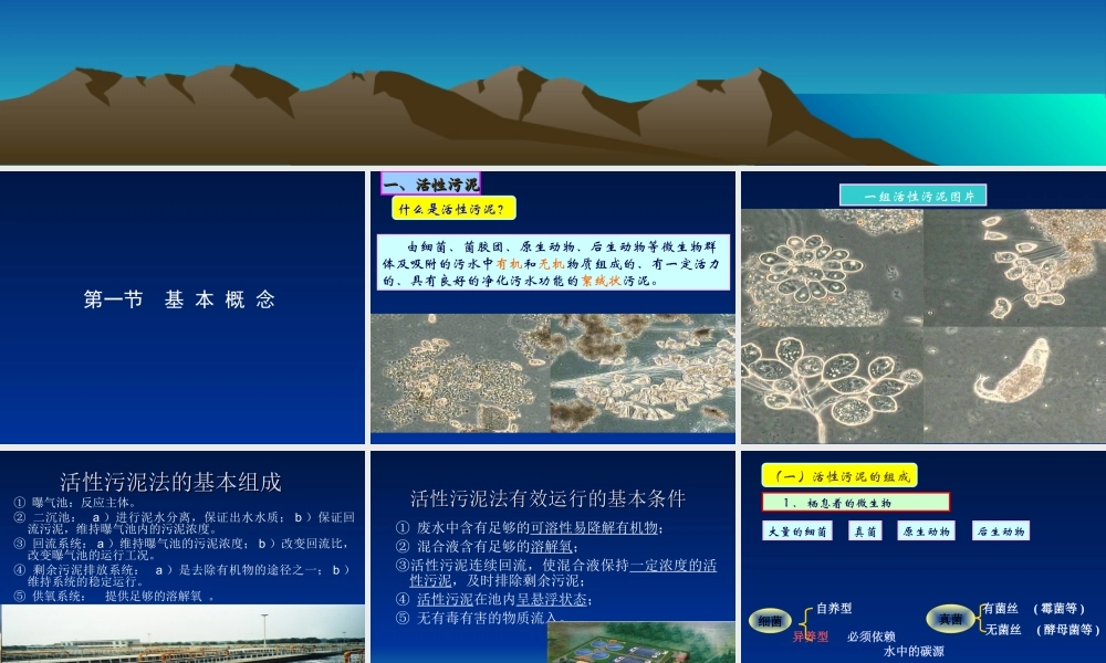 活性污泥法处理废水