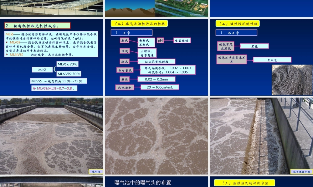 活性污泥法处理废水