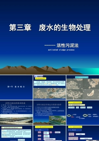 活性污泥法处理废水