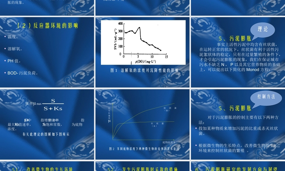 活性污泥法处理中的污泥膨胀问题