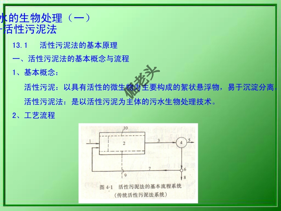 活性污泥法工艺设计_第1页