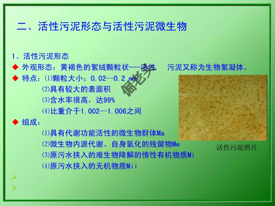 活性污泥法工艺设计_第3页