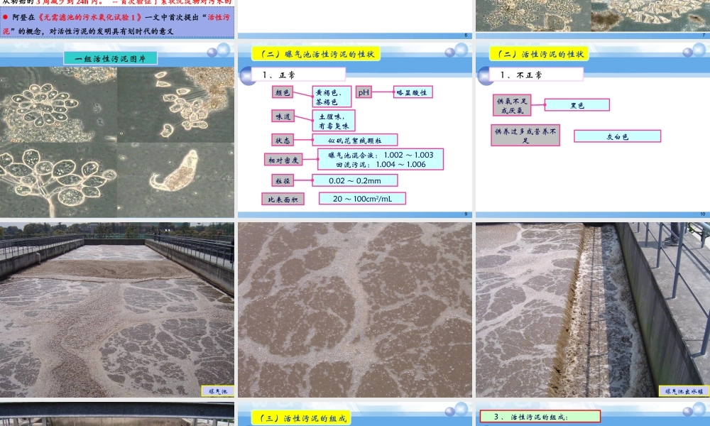 活性污泥法原理与应用