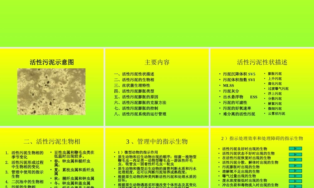 活性污泥膨胀与控制