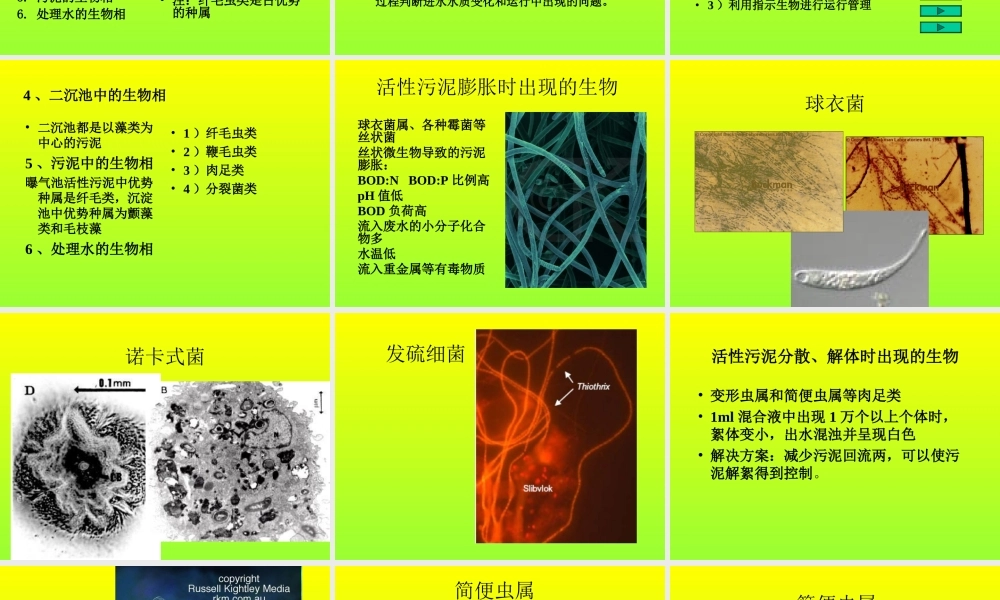 活性污泥膨胀与控制