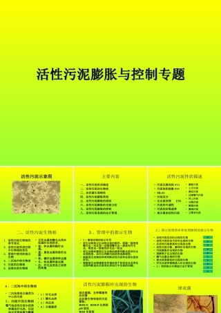 活性污泥膨胀与控制