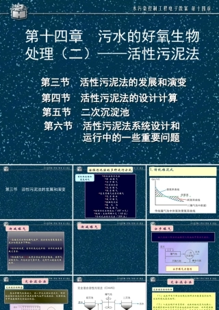 污水的好养生物处理法—活性污泥法